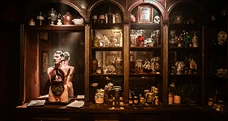 Cabinet de curiosités
